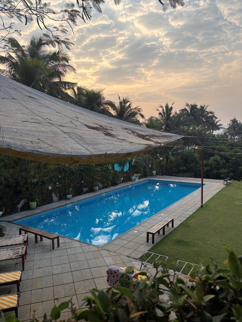 Flowers at Ivy House