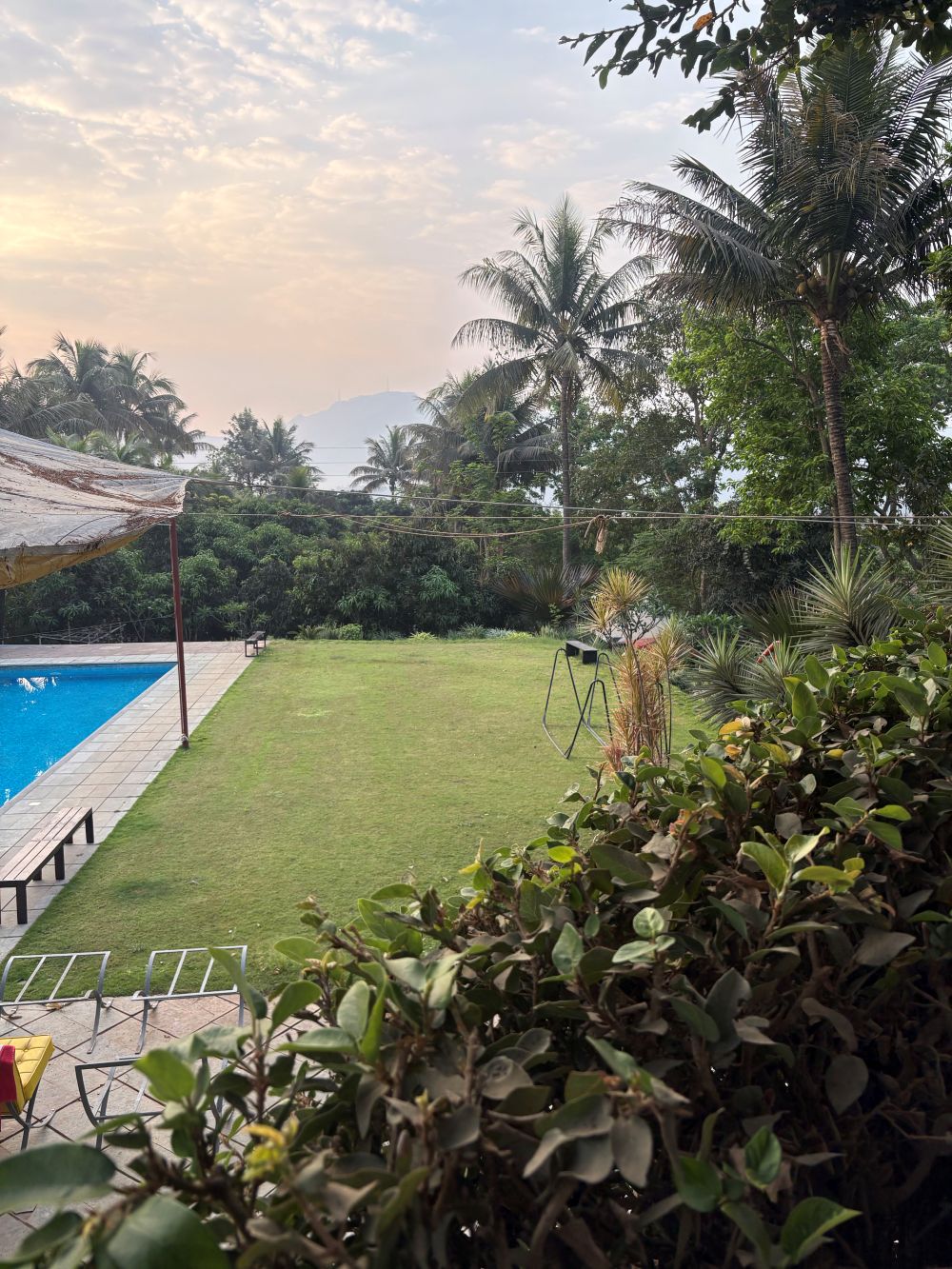 Flowers at Ivy House