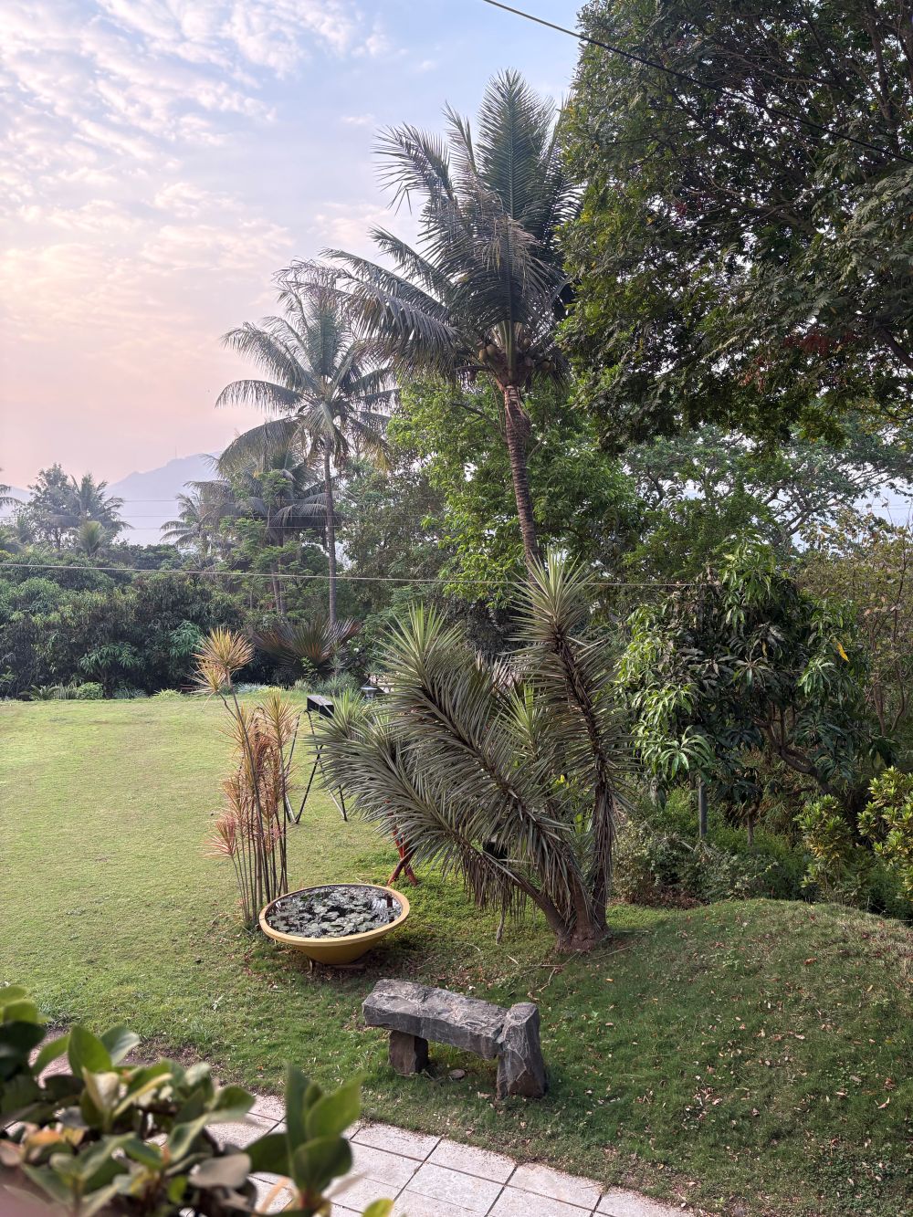 Flowers at Ivy House