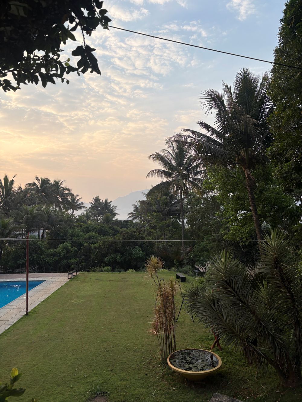 Flowers at Ivy House