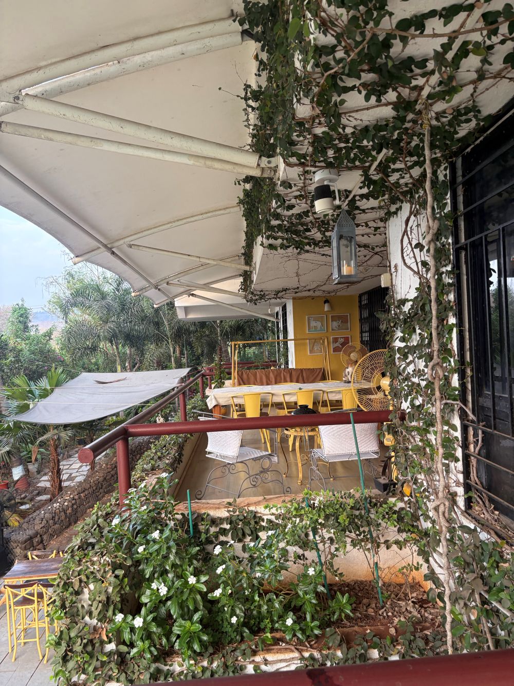 Flowers at Ivy House