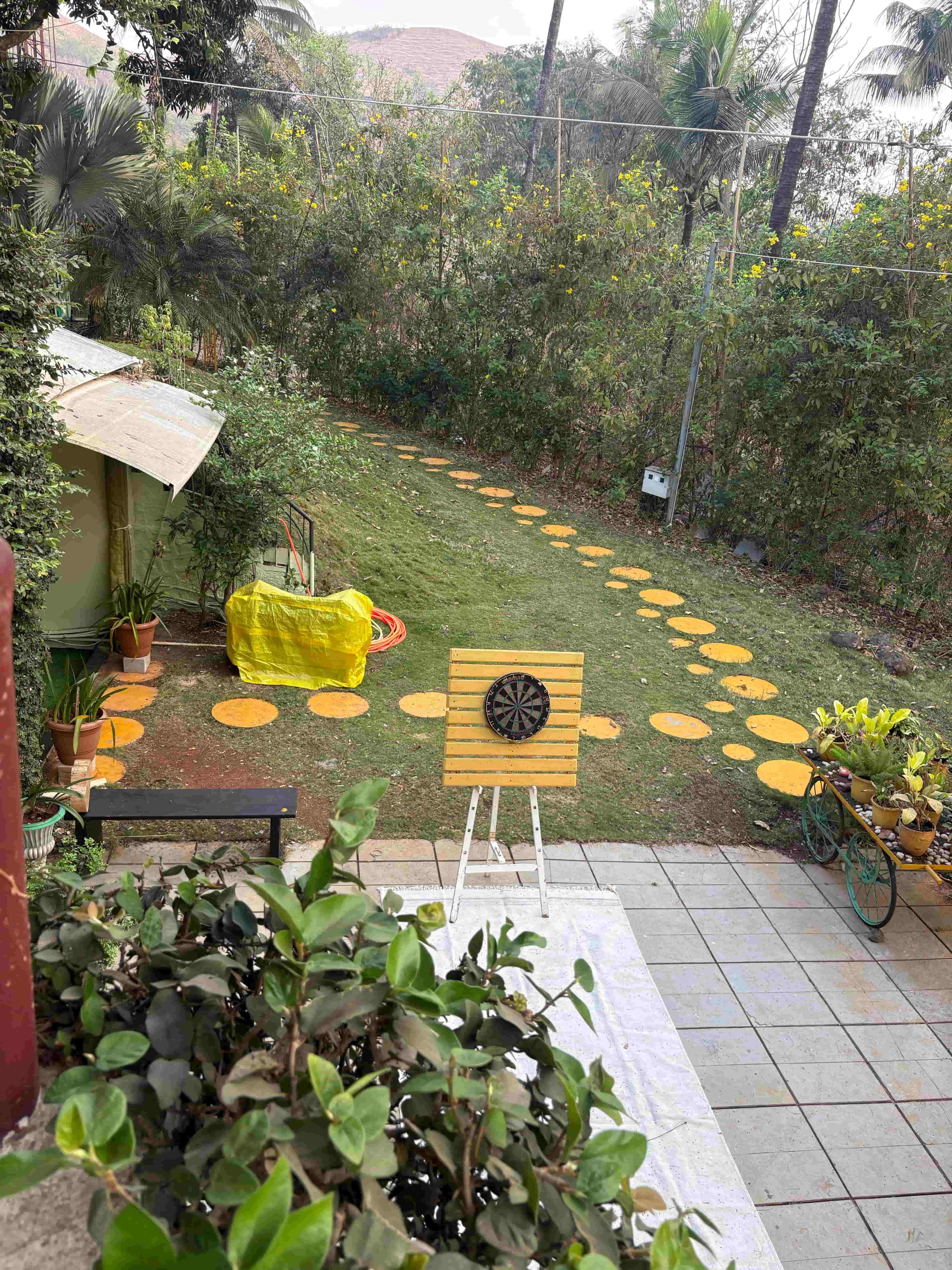 Flowers at Ivy House